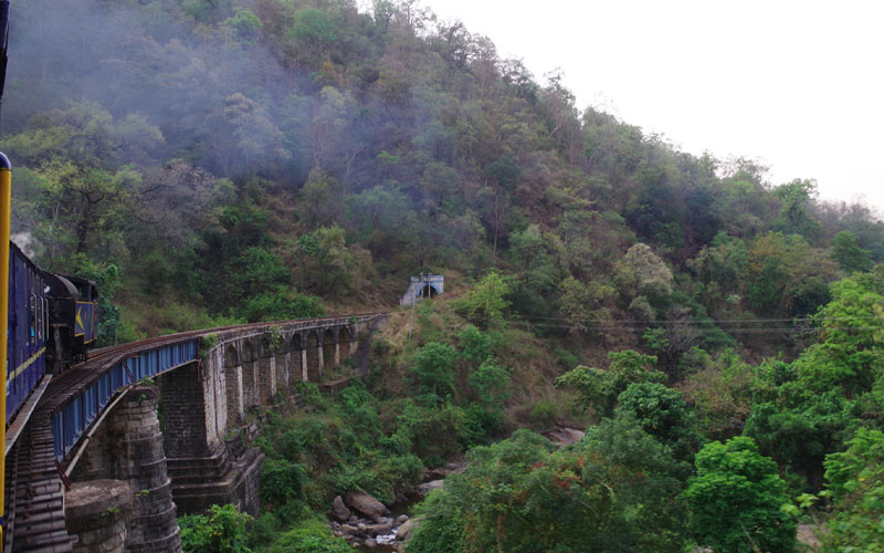 Nilgiri Mountain Railway (29km)